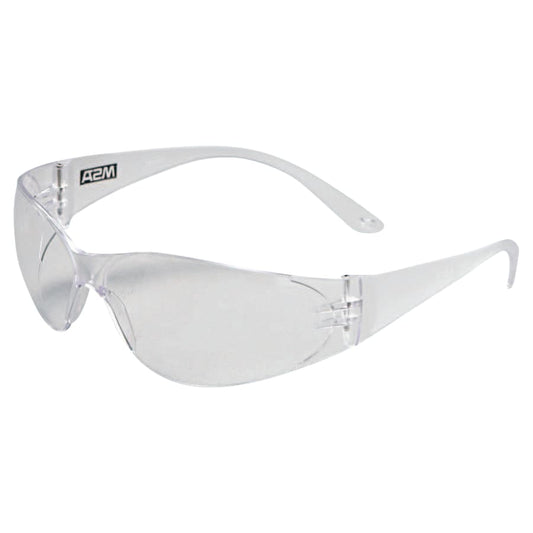 MSA ArcticTM Protective Eyewear Anti-Scratch Clear Lense